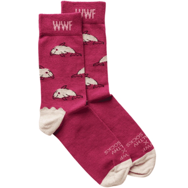 WWF x HSS dames sok Beluga - Afbeelding 2